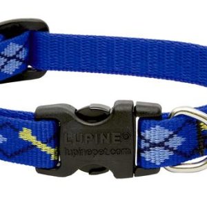 Lupine Small Dog Collar Dapper Dog 10"-16"