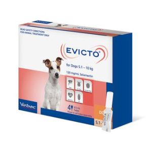 EVICTO SMALL DOGS 5-10KG 4PK