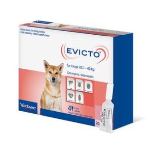 EVICTO LARGE DOGS 20-40KG 4PK
