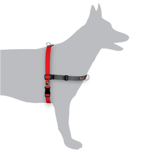 BLACKDOG BALANCE HARN MINI RED